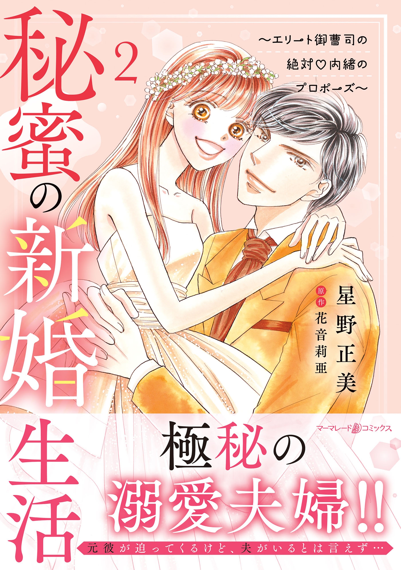 秘蜜の新婚生活~エリート御曹司の絶対内緒のプロポーズ~ 2 秘蜜の新婚生活~エリート御曹司の絶対内緒のプロポーズ~ 2