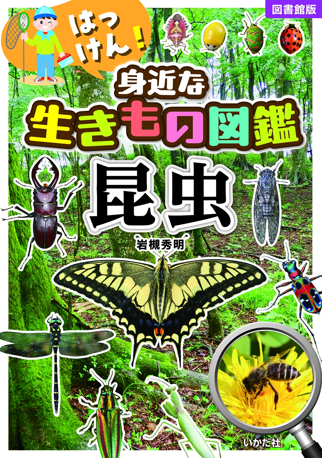 【図書館版】はっけん!身近な生きもの図鑑 昆虫 【図書館版】はっけん!身近な生きもの図鑑 昆虫