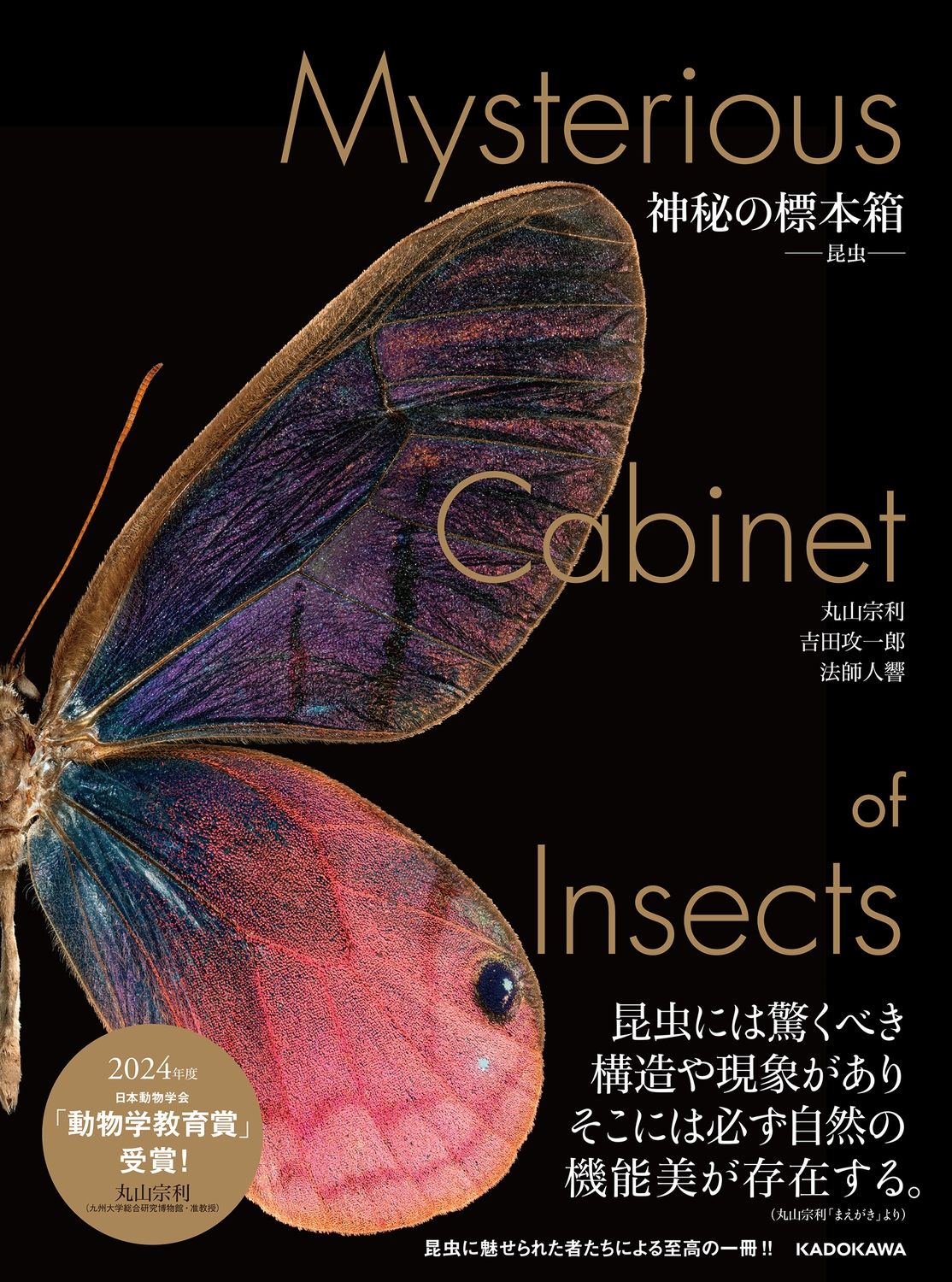 神秘の標本箱 ‐昆虫‐ 神秘の標本箱 ‐昆虫‐