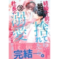 結婚寸前で捨てられたら社長の溺愛がはじまりました3
