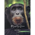 ジャングル チンパンジー