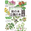 散歩で出会える 街の木・公園の木図鑑