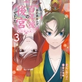 目が覚めると百年後の後宮でした 後宮侍女紅玉 3 (3)