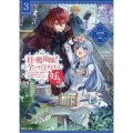 紅の魔術師に全てを注ぎます。好き。3〜聖女の力を軽く見積もられ婚約破棄されました。後悔しても知りません〜 (3)