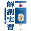 プラクティカル 解剖実習 脳