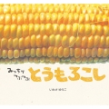 みっちりつぶつぶ とうもろこし
