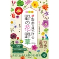 新・散歩で見かける野の花・野草 全ての野の花・野草がAPG分類体系IVに対応