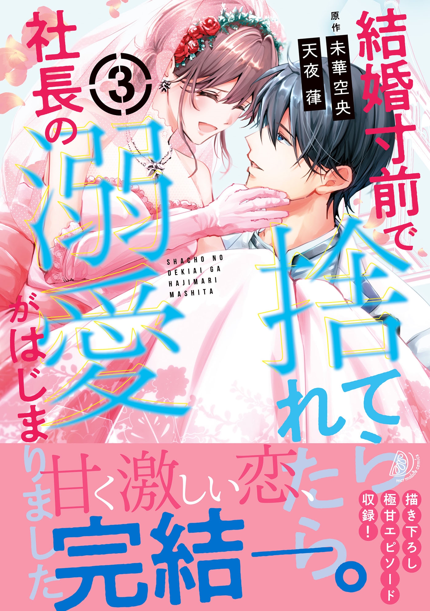 結婚寸前で捨てられたら社長の溺愛がはじまりました3 結婚寸前で捨てられたら社長の溺愛がはじまりました3