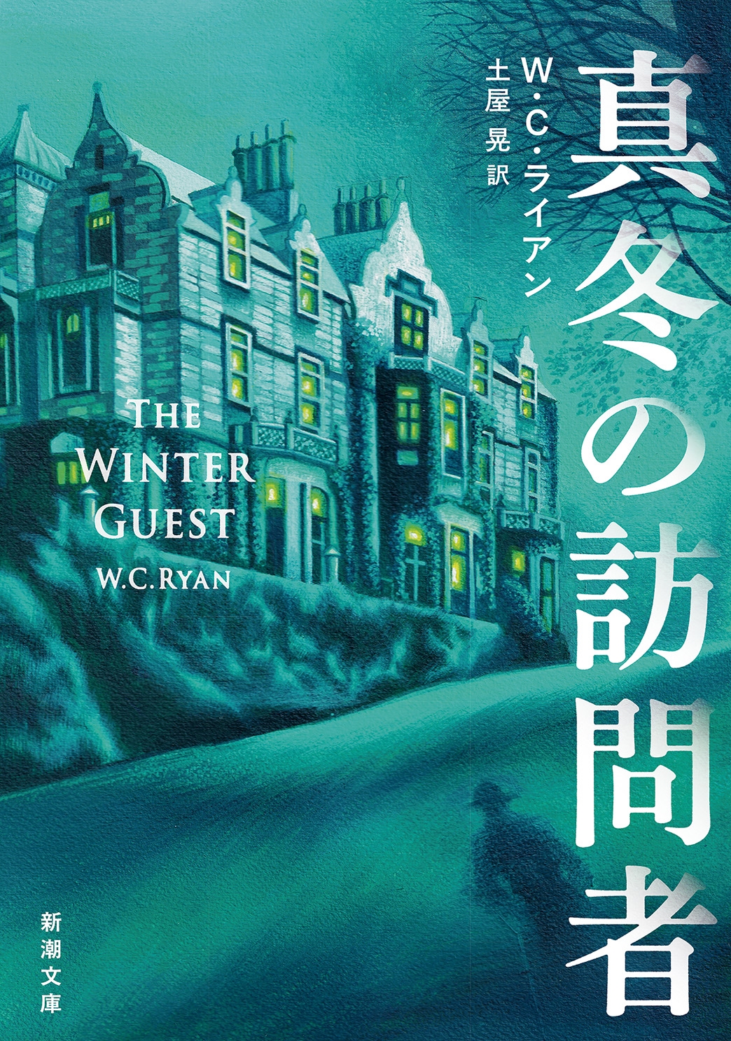 真冬の訪問者 真冬の訪問者