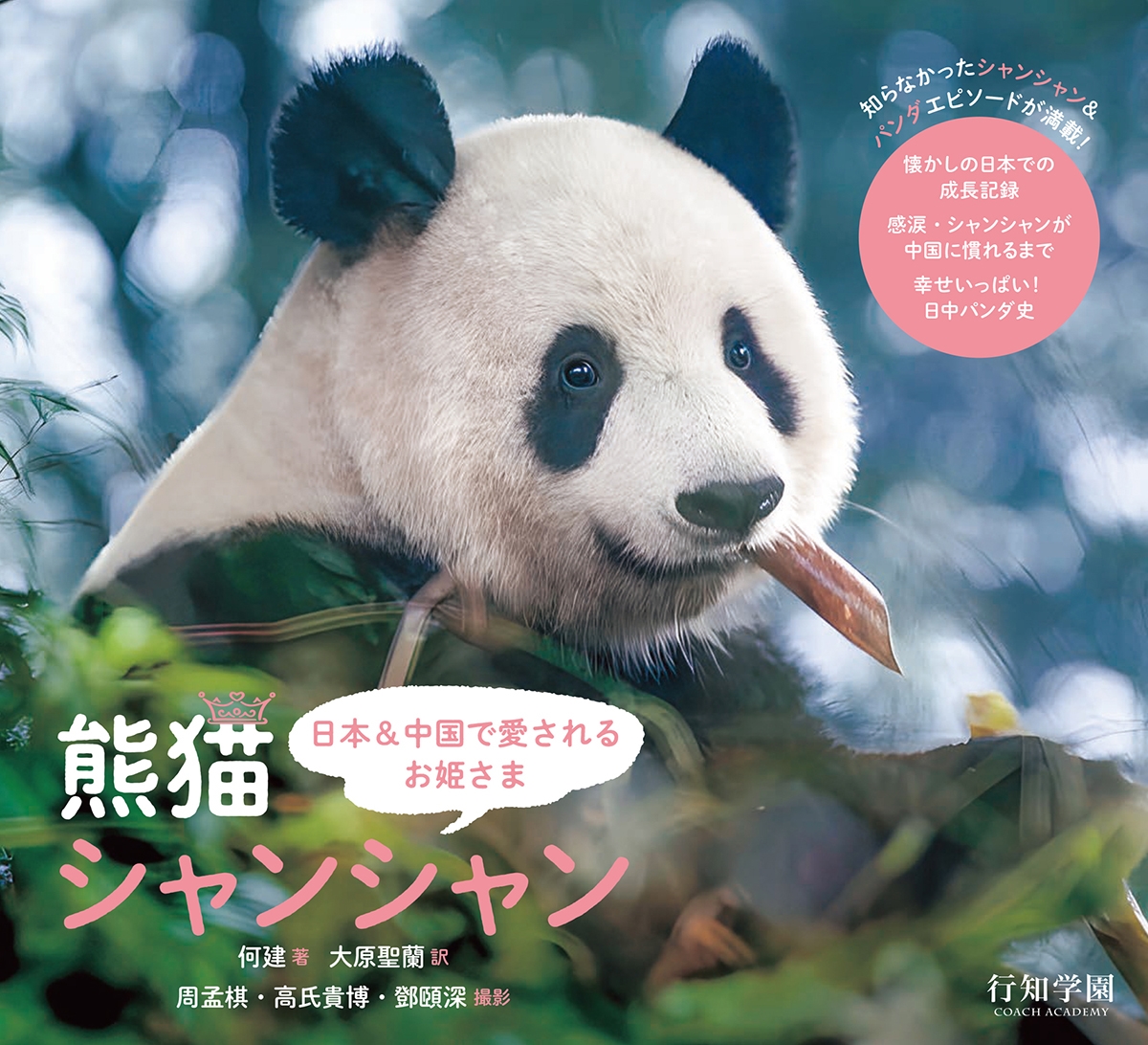 日本&中国で愛されるお姫さま 熊猫シャンシャン