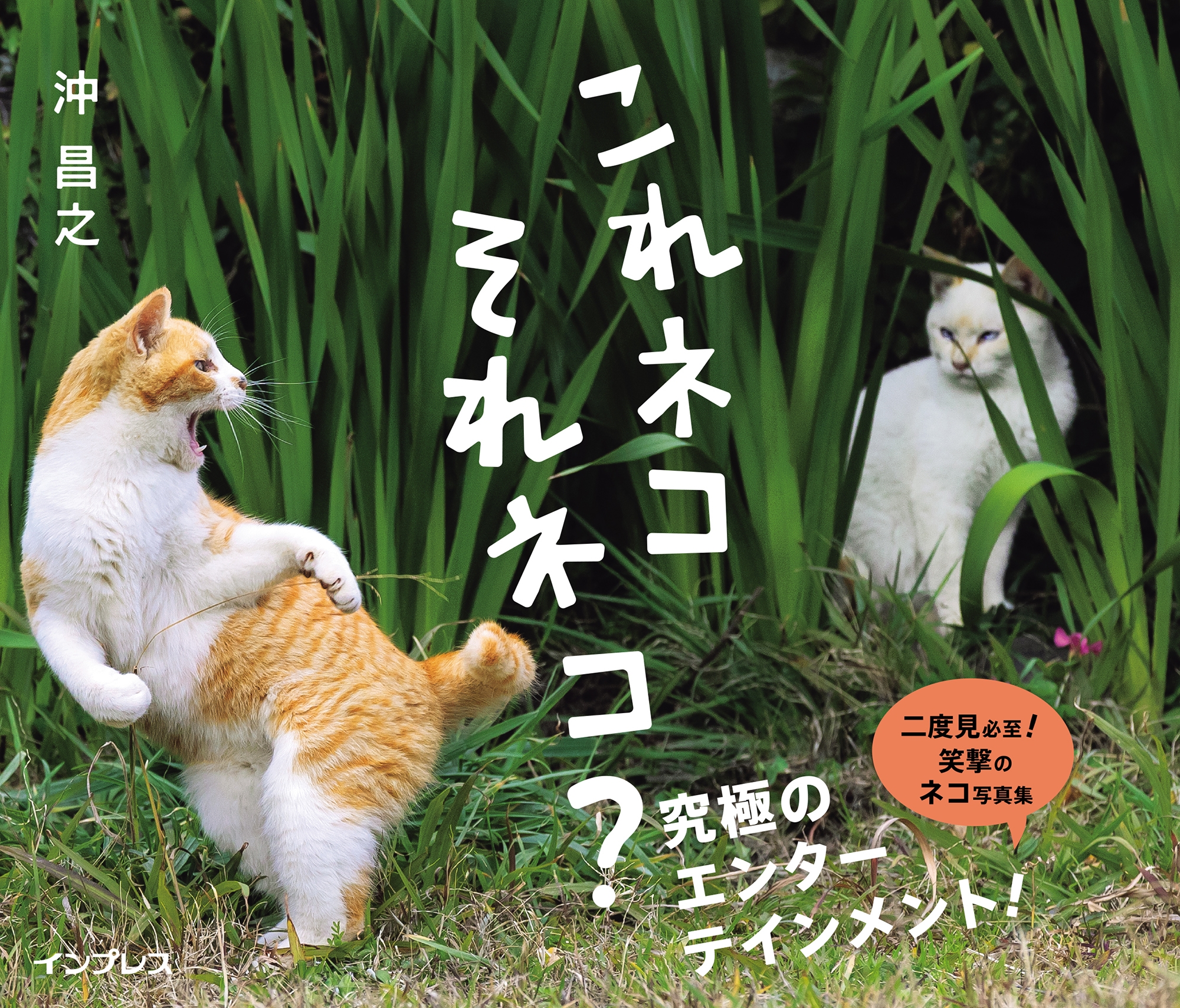 これネコ それネコ? これネコ それネコ?