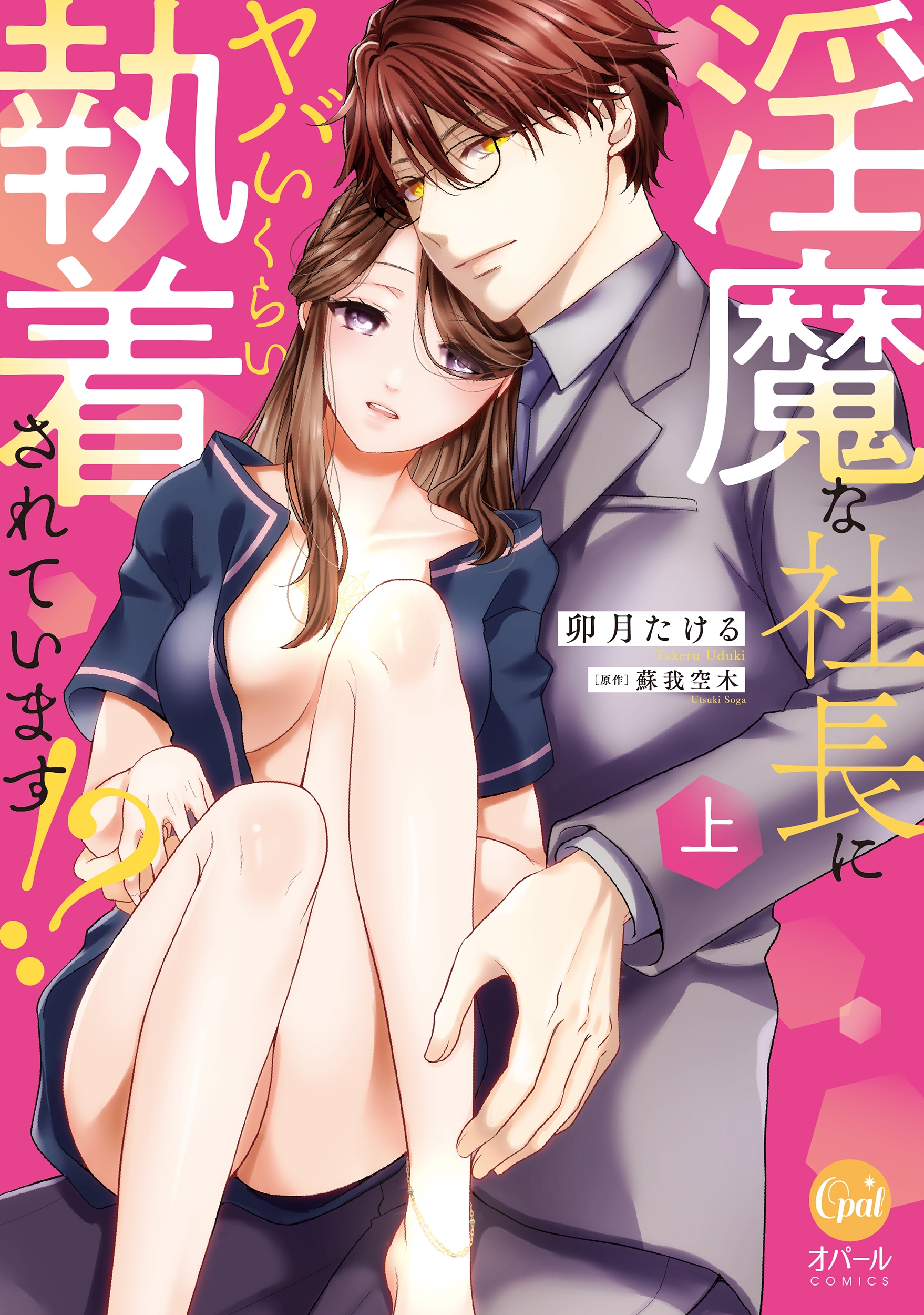 淫魔な社長にヤバいくらい執着されています!? 上 淫魔な社長にヤバいくらい執着されています!? 上