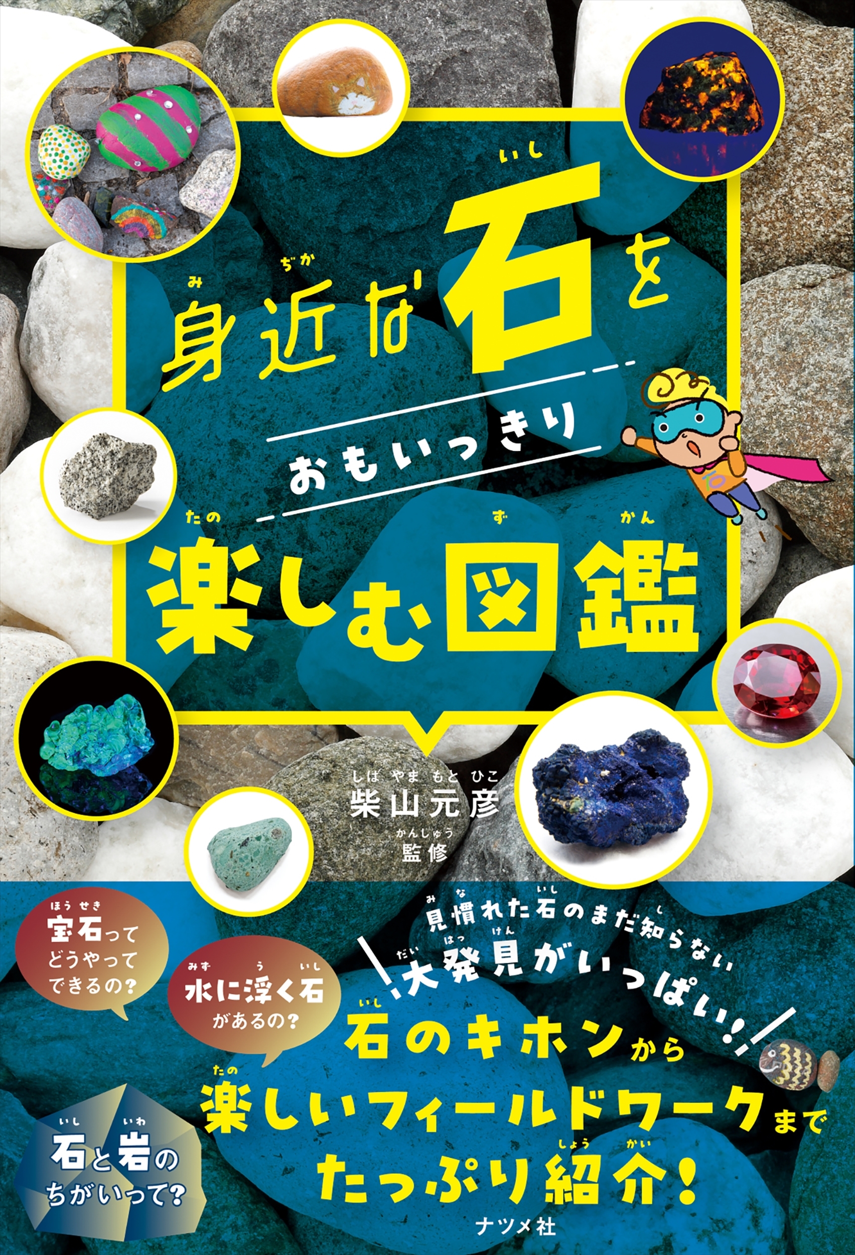 身近な石をおもいっきり楽しむ図鑑 身近な石をおもいっきり楽しむ図鑑