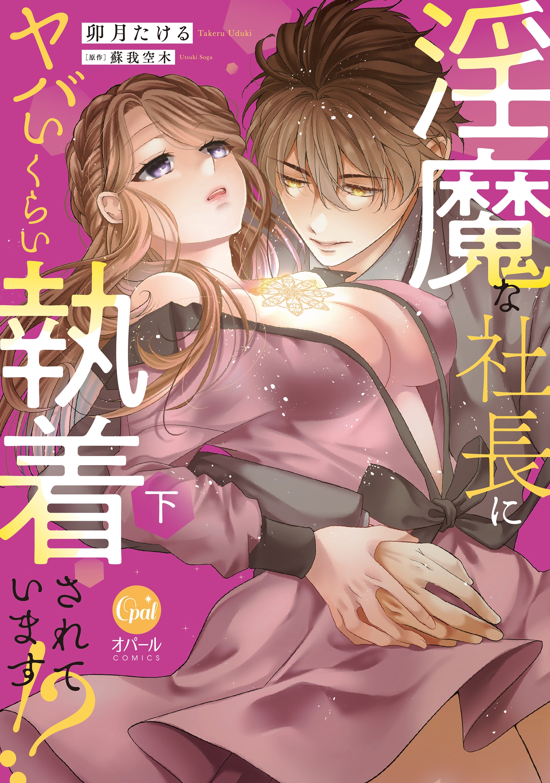 淫魔な社長にヤバいくらい執着されています!? 下 淫魔な社長にヤバいくらい執着されています!? 下