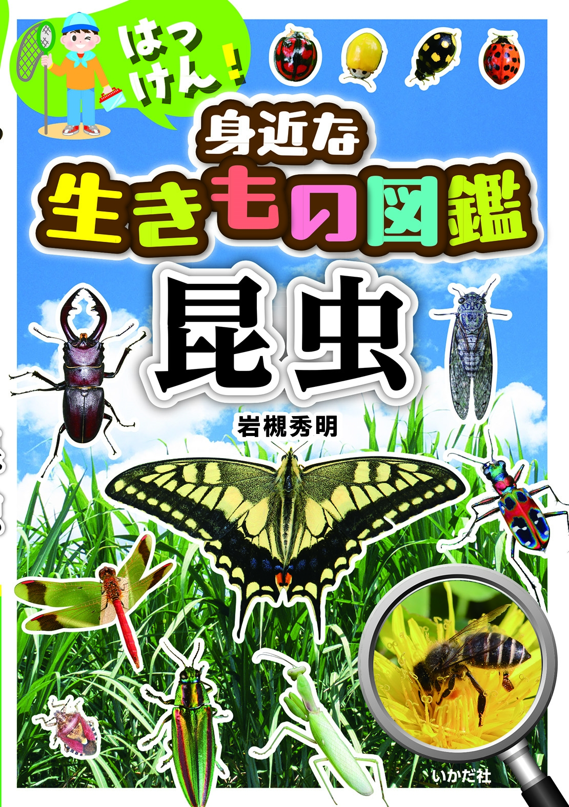 はっけん!身近な生きもの図鑑 昆虫