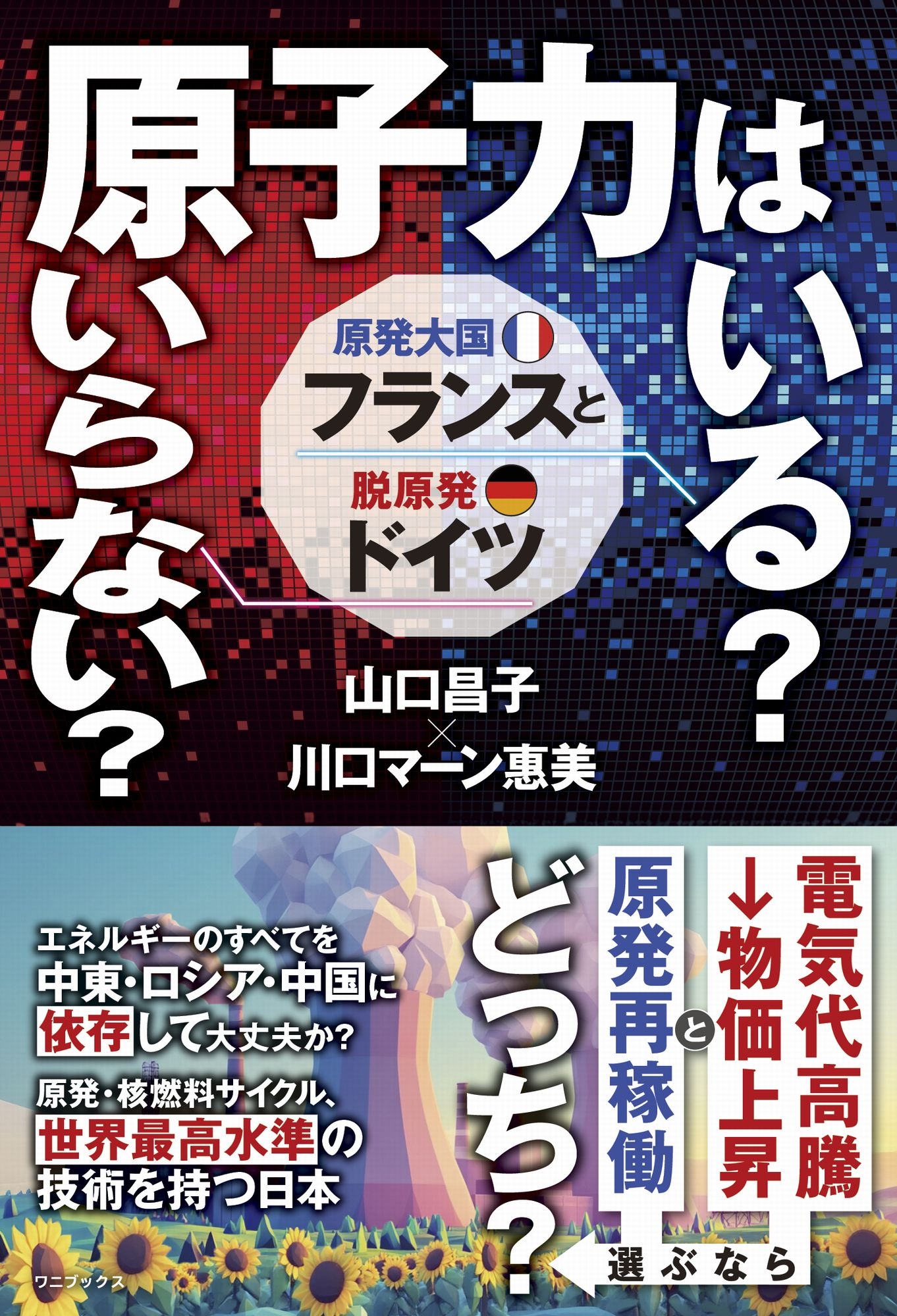 原子力はいる?いらない?原発大国フランスと脱原発ドイツ 原子力はいる?いらない?原発大国フランスと脱原発ドイツ