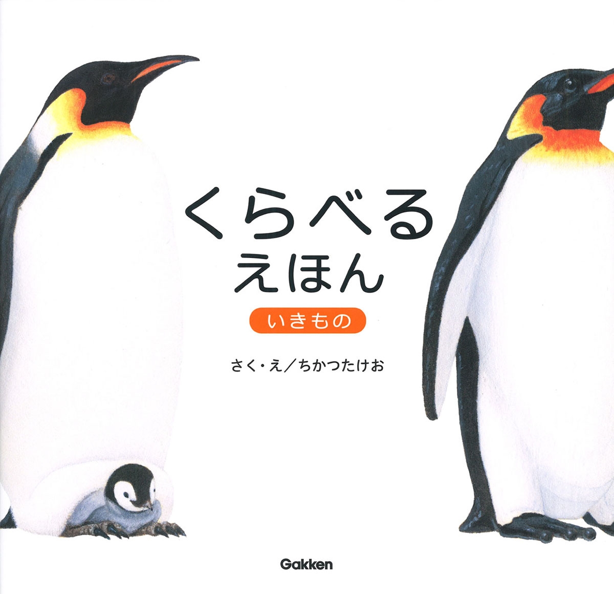 Ĥ/٤뤨ۤ [9784052061165]
