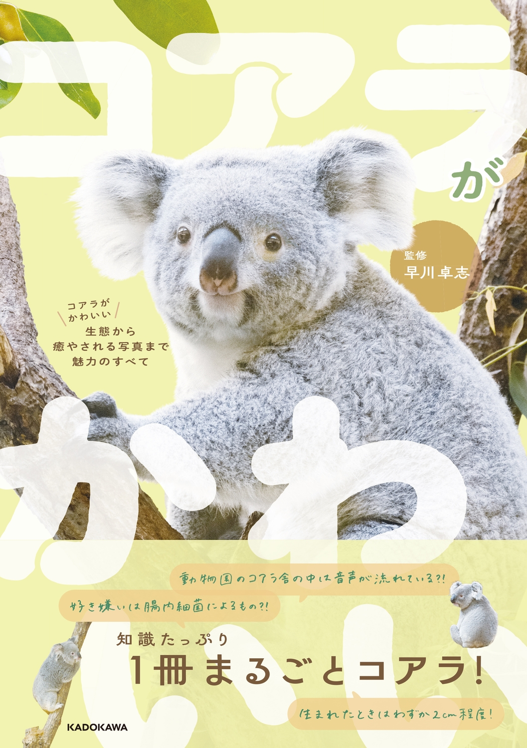 /餬襤 ֤䤵̿ޤ̥ϤΤ٤[9784046072863]