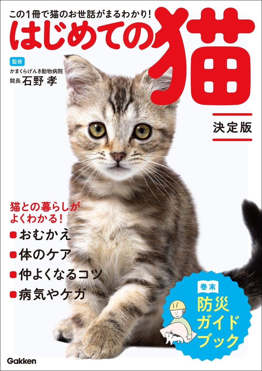 /ϤƤǭ  1ǭΤäޤ狼![9784058024874]