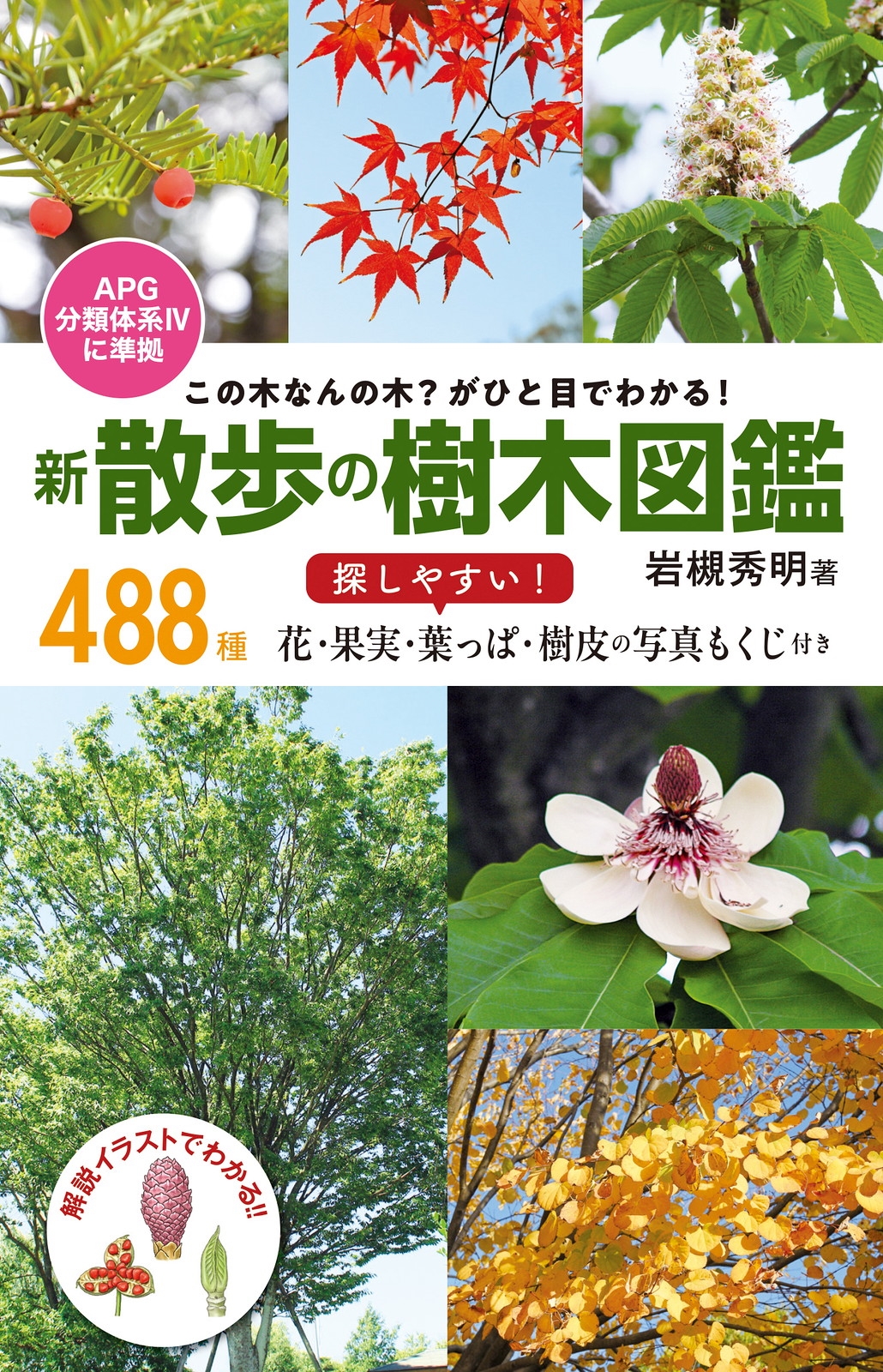 この木なんの木?がひと目でわかる! 新 散歩の樹木図鑑 この木なんの木?がひと目でわかる! 新 散歩の樹木図鑑