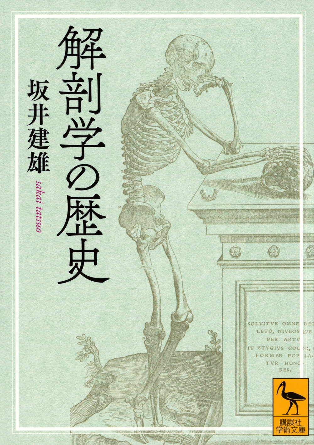 解剖学の歴史 解剖学の歴史