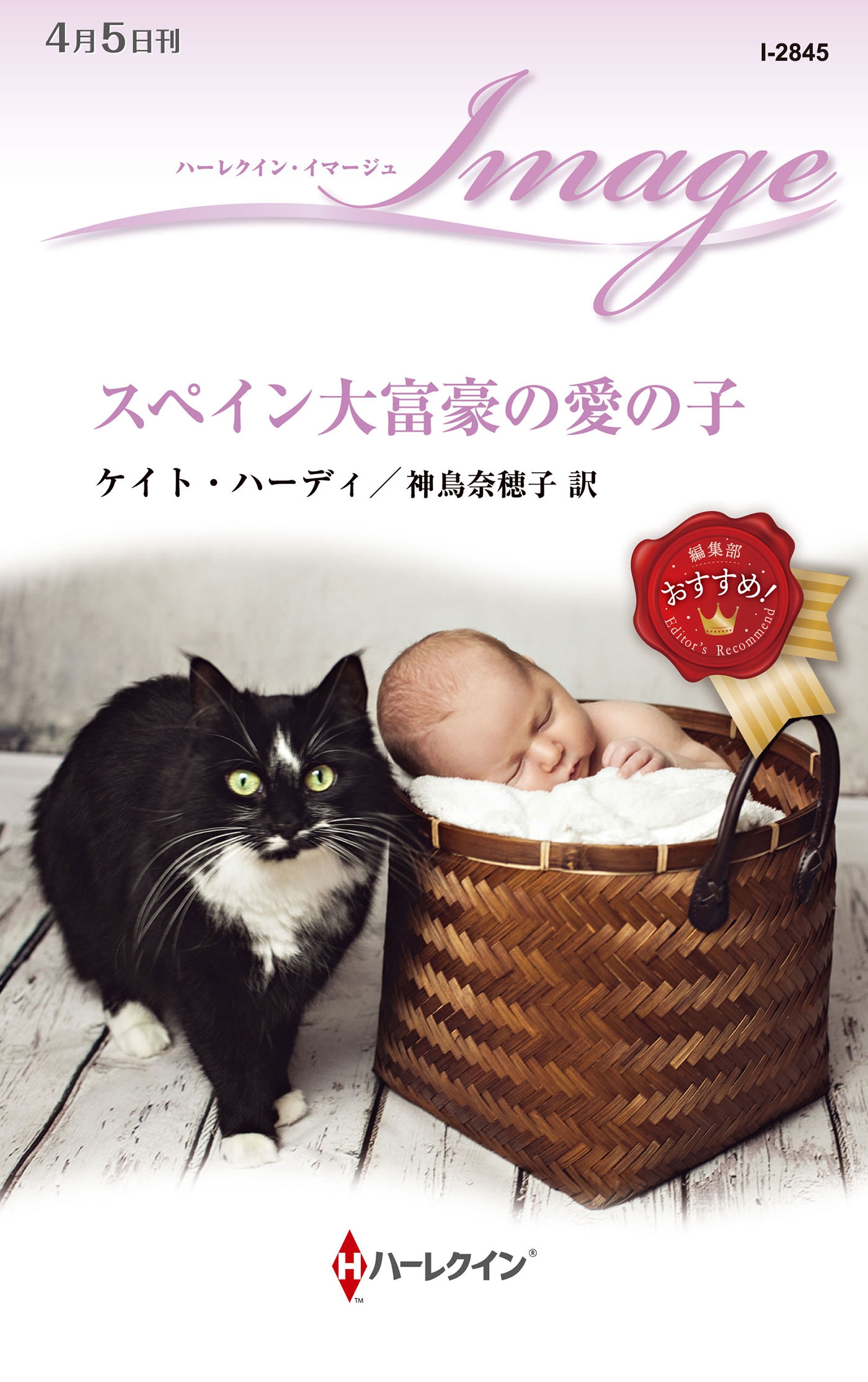 スペイン大富豪の愛の子 スペイン大富豪の愛の子