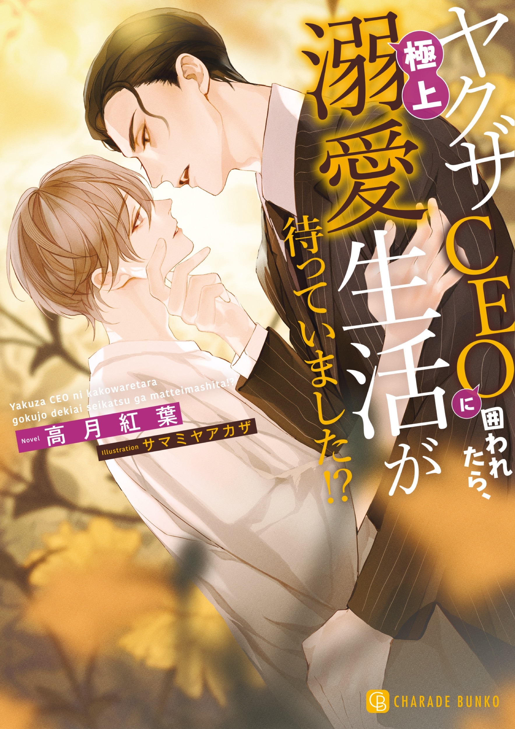 ヤクザCEOに囲われたら、極上溺愛生活が待っていました!? ヤクザCEOに囲われたら、極上溺愛生活が待っていました!?