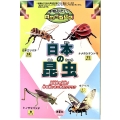 本物みたい!立体紙パズル 日本の昆虫 日本ミツバチ ナナホシテントウ トノサマバッタ キアゲハ 昆虫好き必見!作る楽しさ×学ぶワクワク