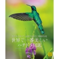 世界で一番美しい ハチドリ図鑑 花を求め育んだ、高速で羽ばたく神秘的な姿