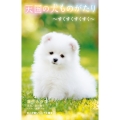 天国の犬ものがたり ～すくすくすくすく～