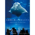 水族館の美しい生きものたち ―Aquarium Gradation―