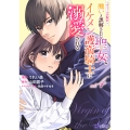 ヴェールの聖女～醜いと誤解された聖女、イケメン護衛騎士に溺愛される～ (4)