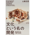 文化という名の開発 再生産される「豊かな未来」