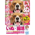 毎日脳活スペシャル いぬのまちがいさがし ビーグル祭りの巻