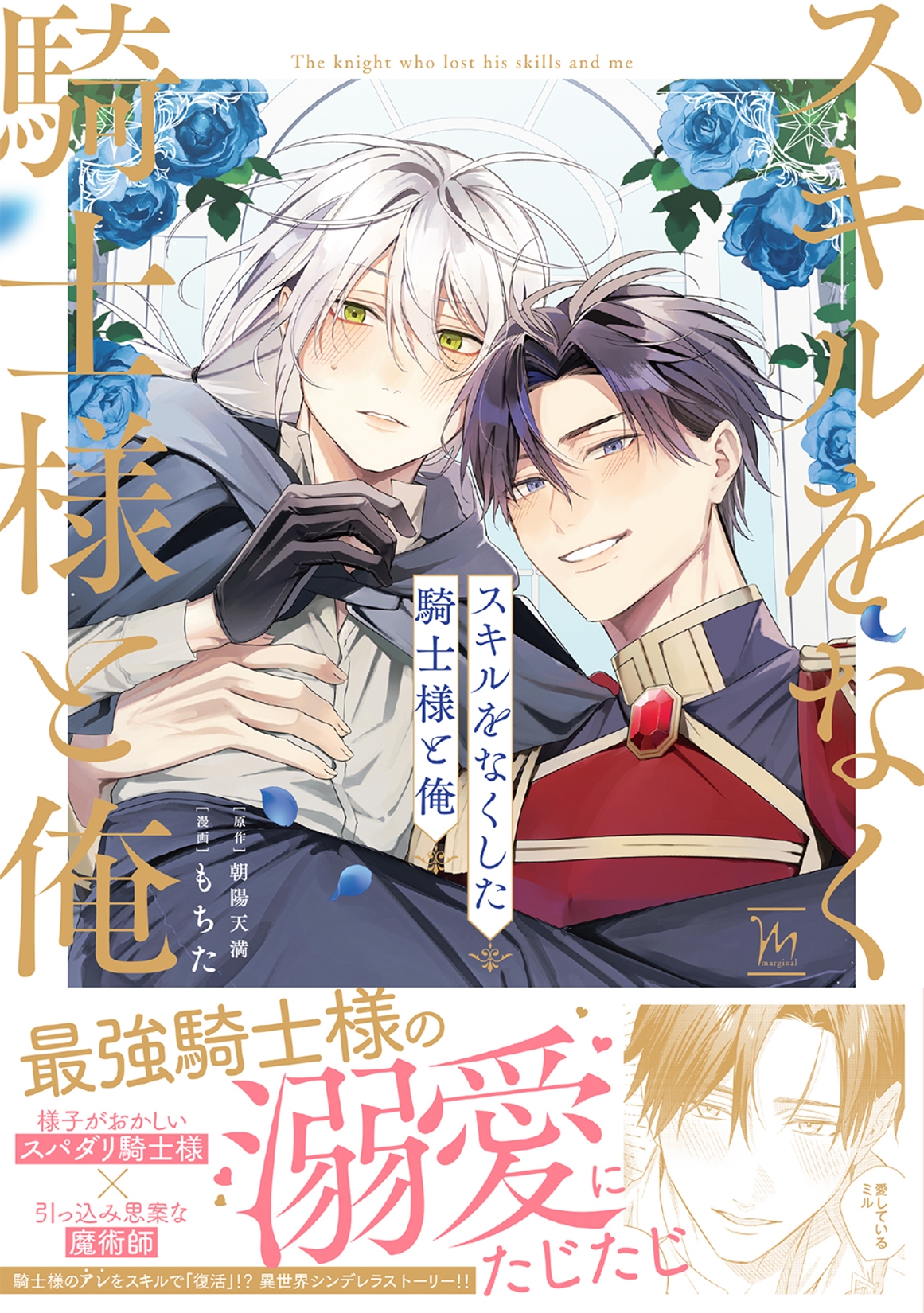 スキルをなくした騎士様と俺 スキルをなくした騎士様と俺