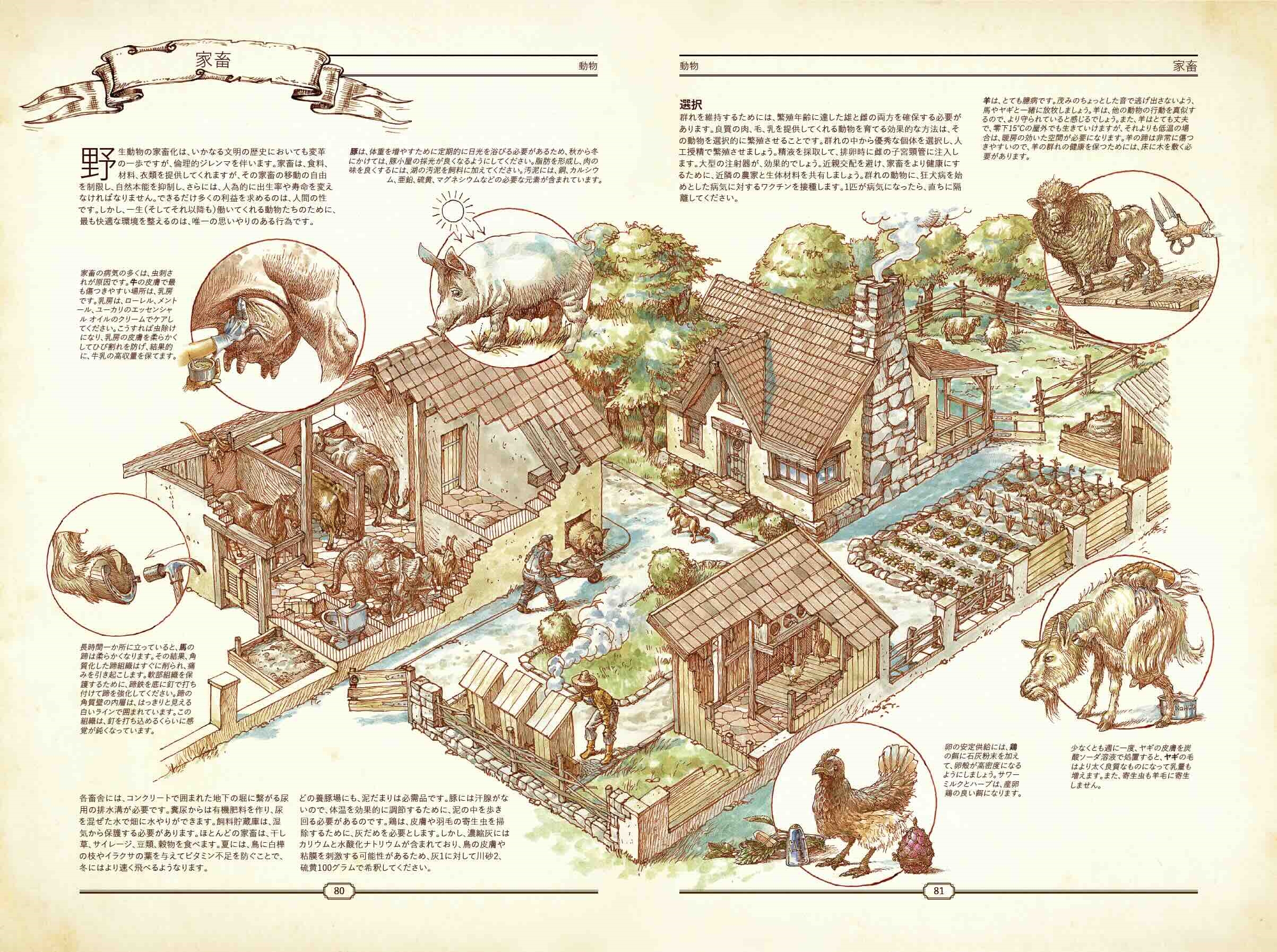 The book : 究極の文明再構築ガイド Amazon.co.jp: THE BOOK: 究極の文明再構築ガイド : Hungry