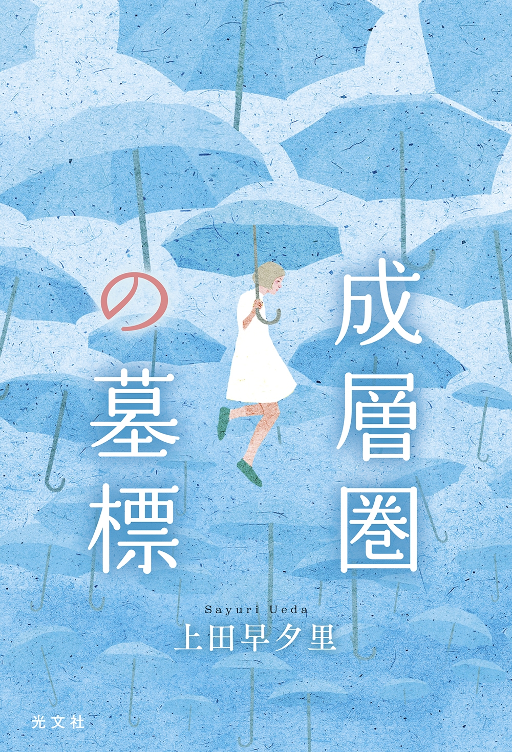 成層圏の墓標 成層圏の墓標