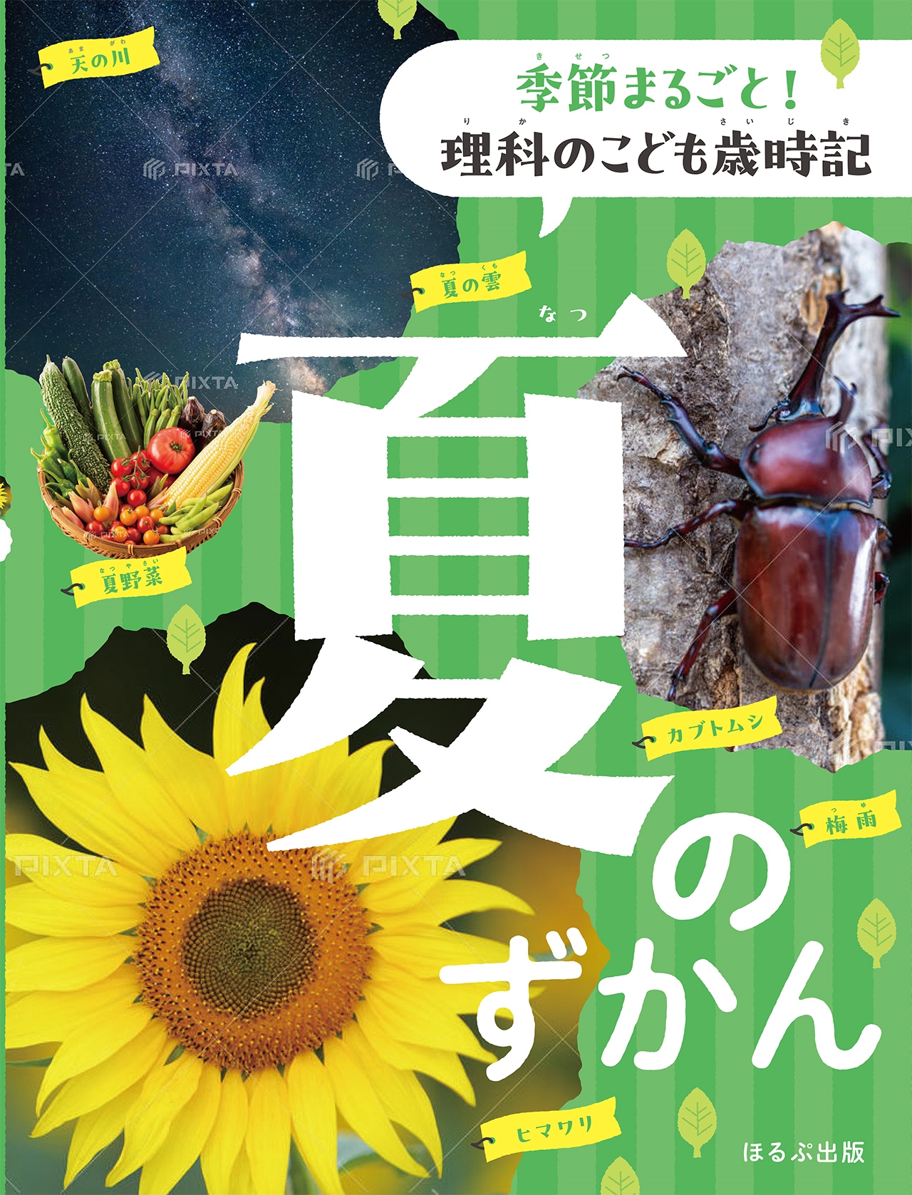 夏のずかん 夏のずかん