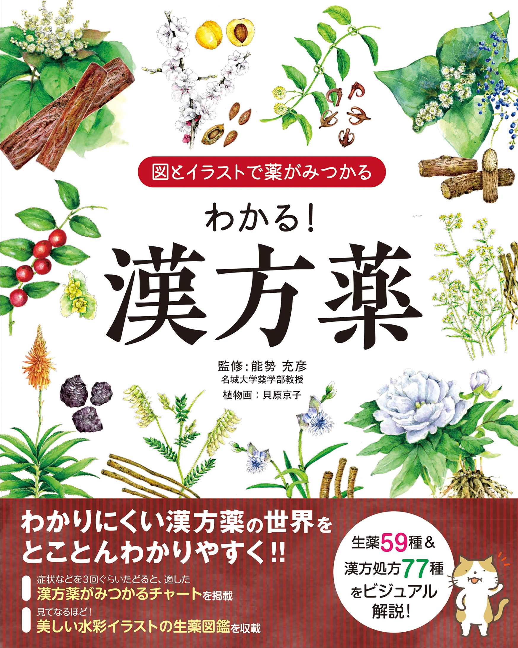 dショッピング |能勢充彦 「図とイラストで薬がみつかる わかる