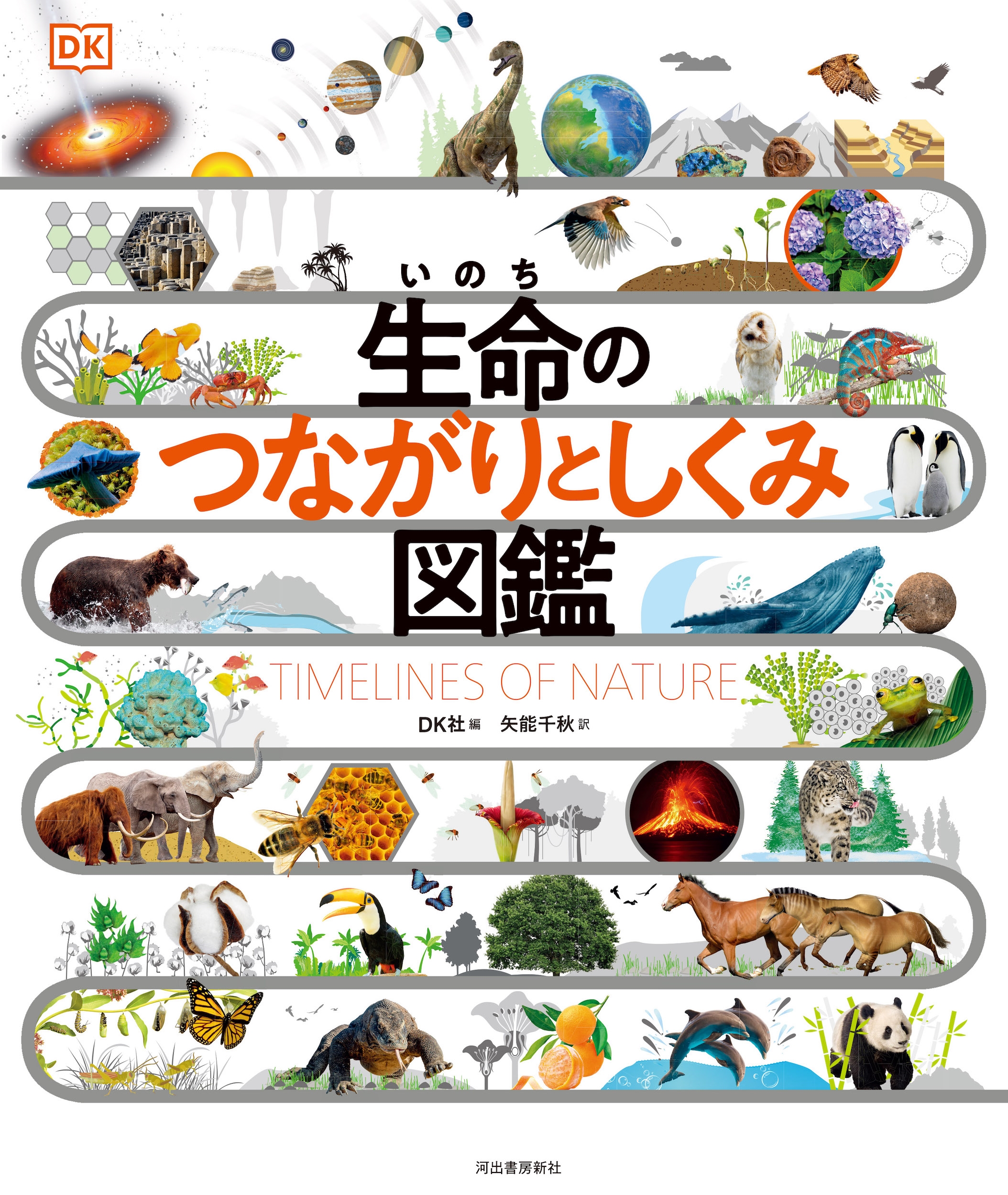 生命のつながりとしくみ図鑑 生命のつながりとしくみ図鑑