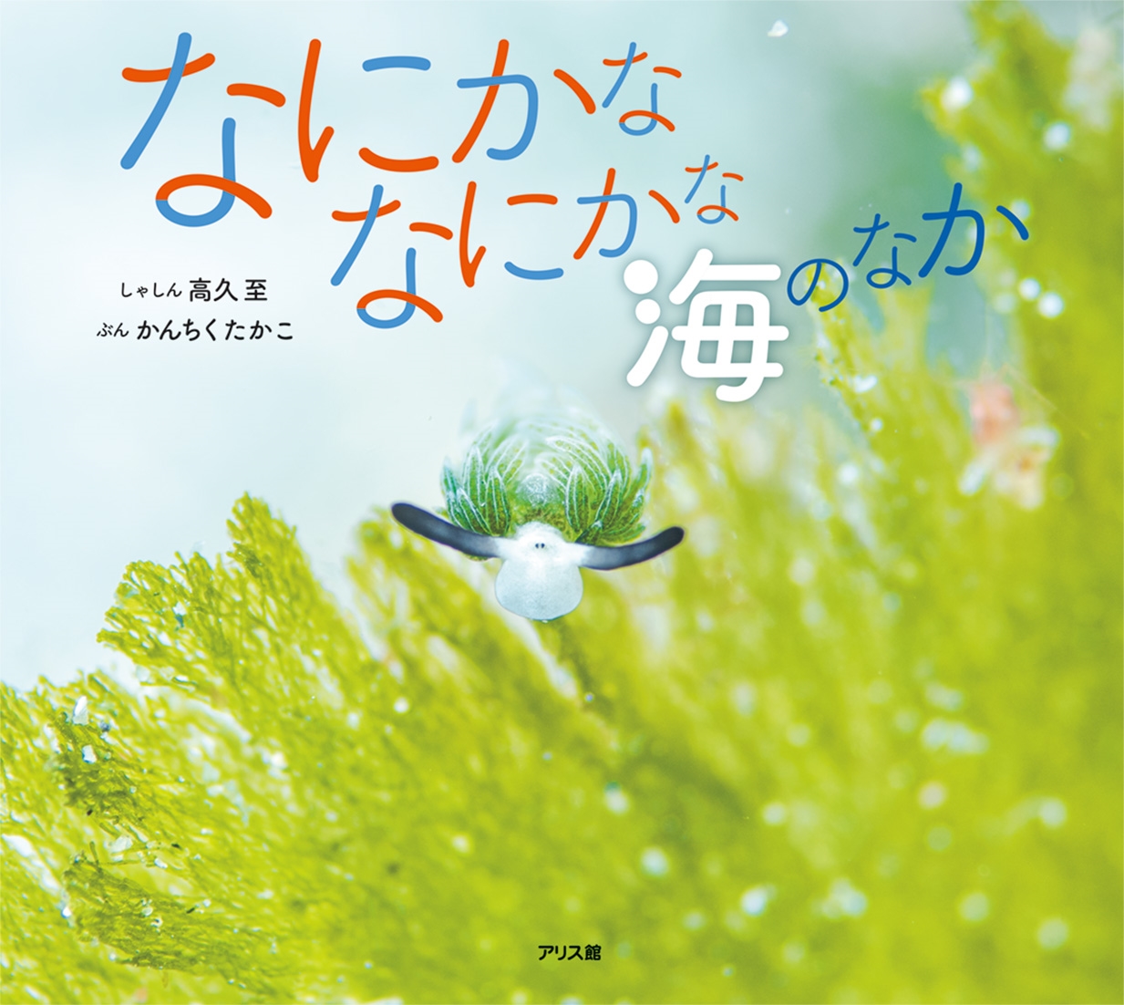 なにかななにかな 海のなか なにかななにかな 海のなか