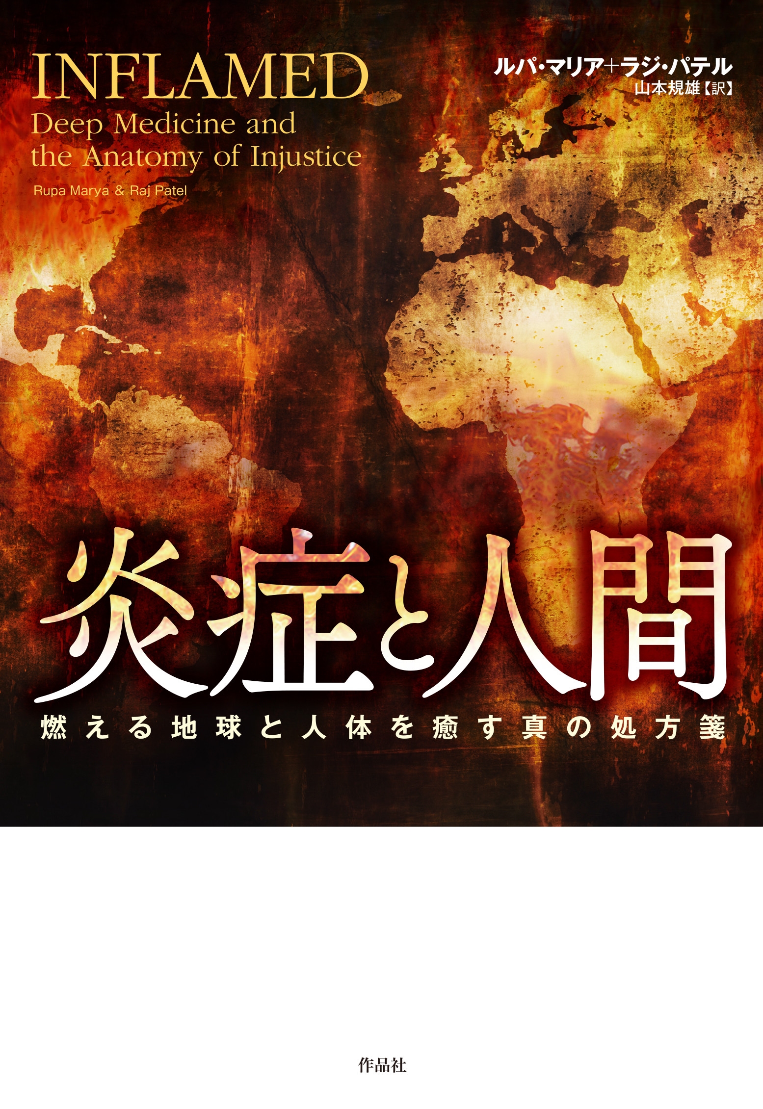 炎症と人間 燃える地球と人体を癒す真の処方箋 炎症と人間 燃える地球と人体を癒す真の処方箋