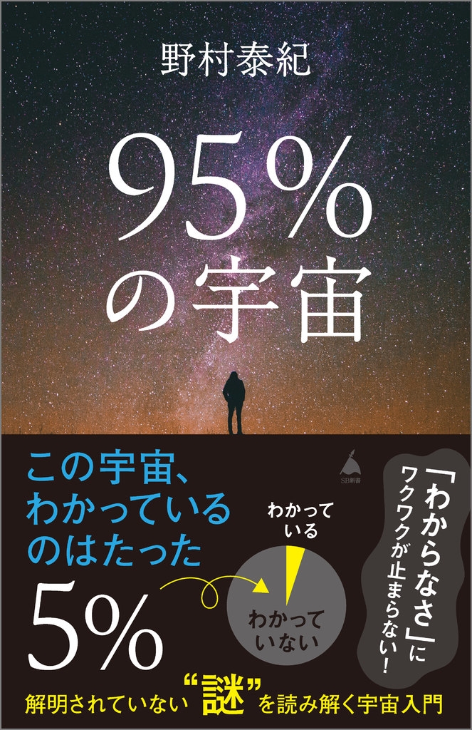 95%の宇宙 解明されていない"謎"を読み解く宇宙入門 95%の宇宙 解明されていない"謎"を読み解く宇宙入門