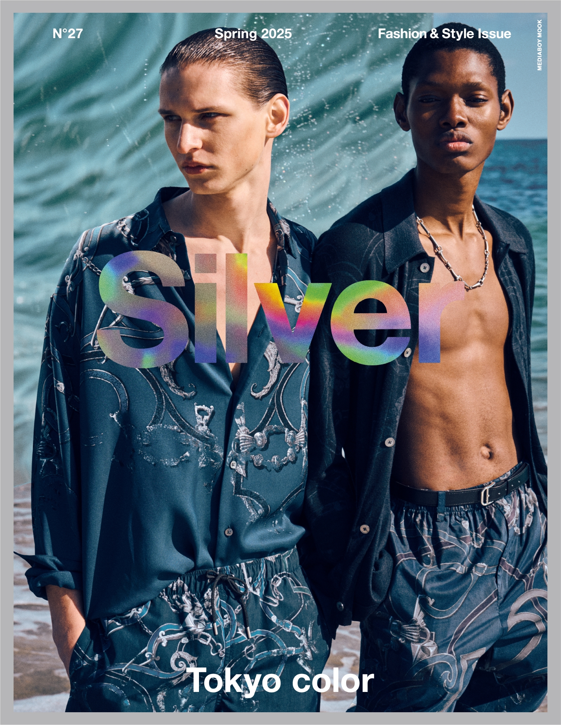 Silver N27 Spring2025[9784863884816]