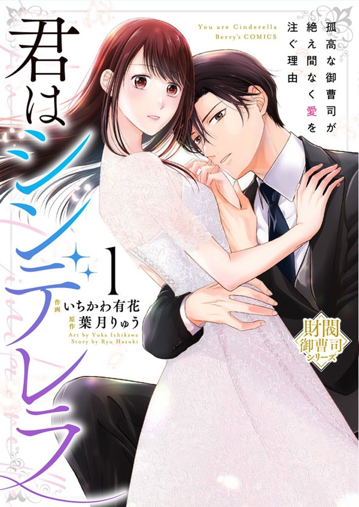 君はシンデレラ～孤高な御曹司が絶え間なく愛を注ぐ理由～【財閥御曹司シリーズ】 1
