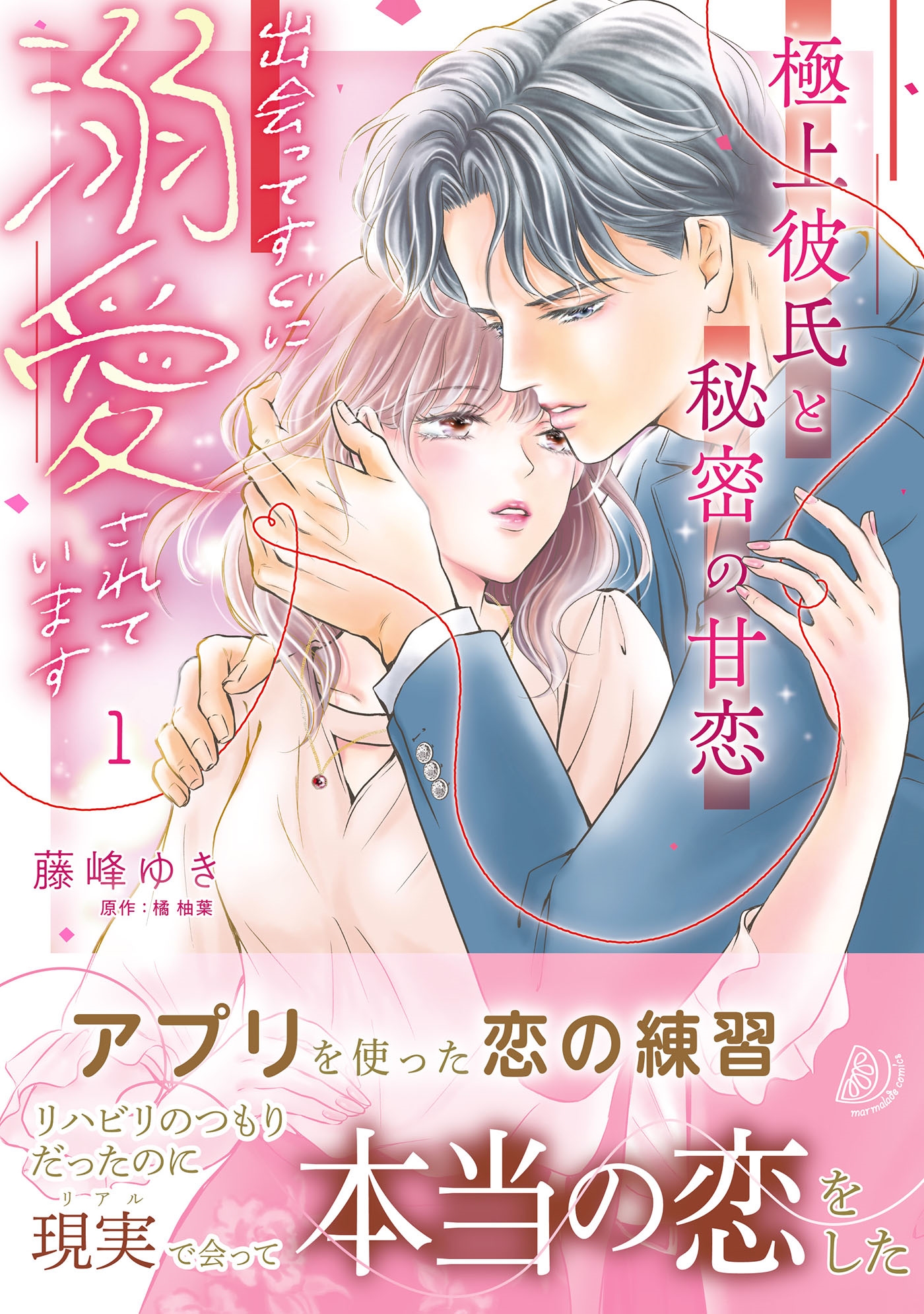 極上彼氏と秘密の甘恋～出会ってすぐに溺愛されています～ 1