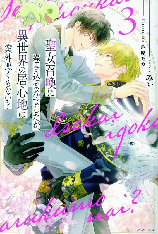 聖女召喚に巻き込まれましたが、異世界の居心地は案外悪くもない?3 聖女召喚に巻き込まれましたが、異世界の居心地は案外悪くもない?3