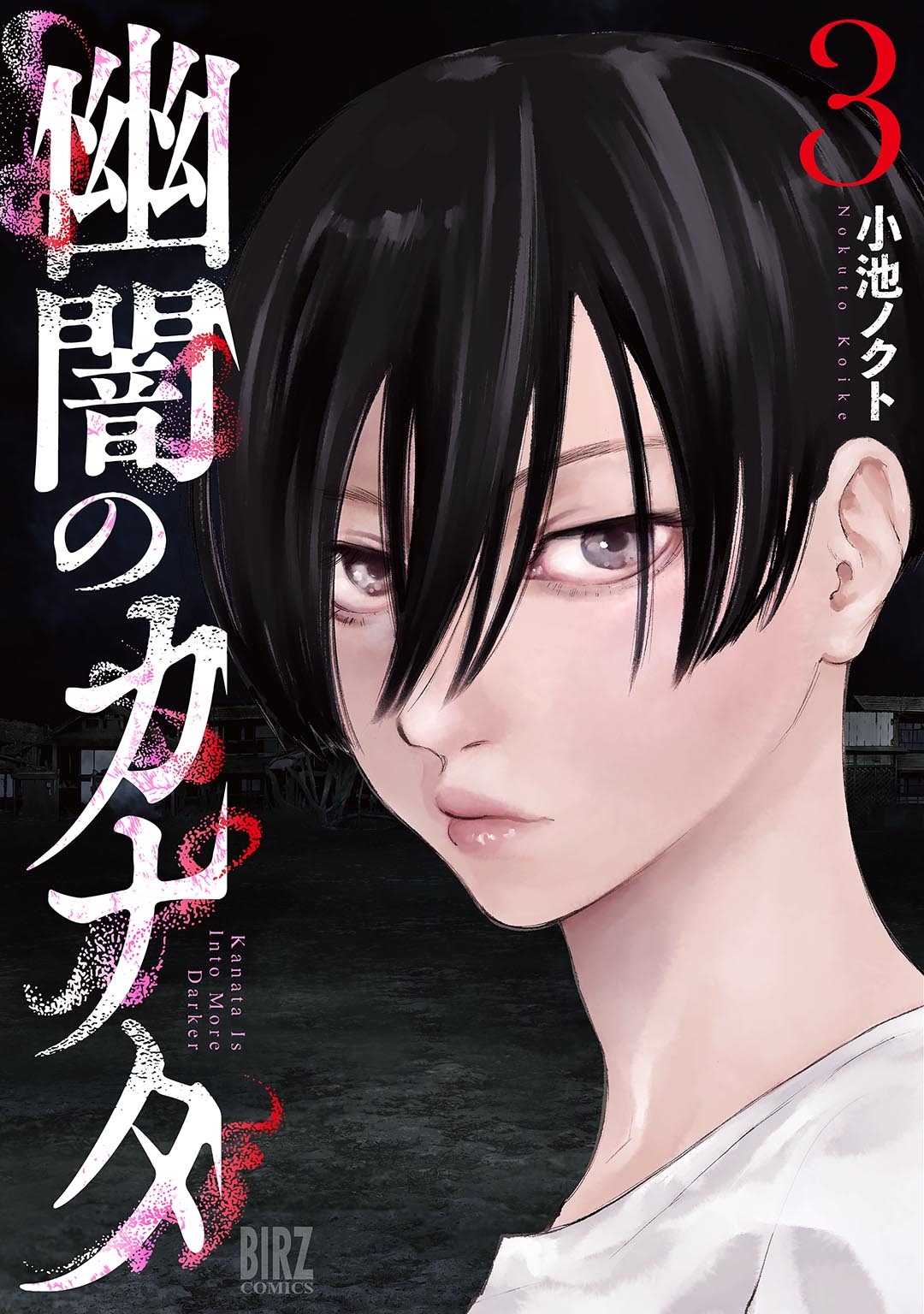 幽闇のカナタ (3) 幽闇のカナタ (3)