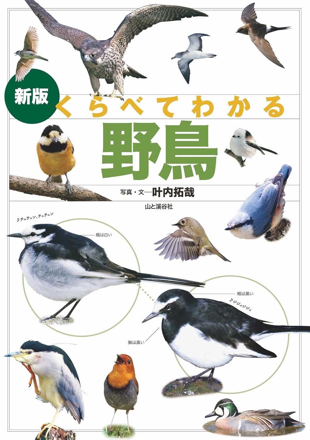 ٤Ƥ狼Ļ[9784635063722]