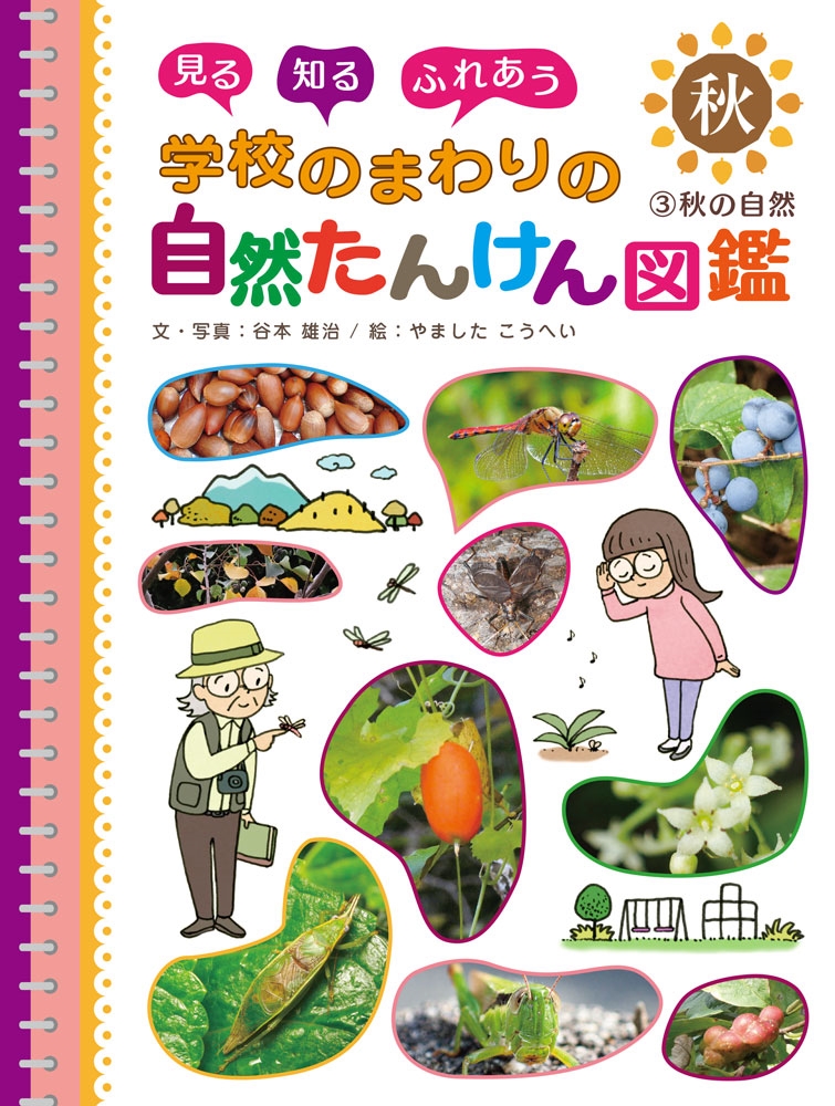 秋の自然 秋の自然